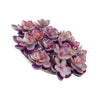 925 Zilveren Handgemaakte Roze Dromen Broche