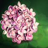 925 Zilveren Handgemaakte Roze Dromen Broche