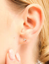 14 Gouden Lelie Diamanten Oorbellen